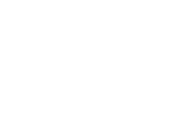 TônoFlash